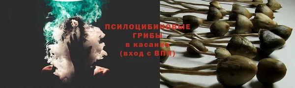 прущий лед Белоозёрский