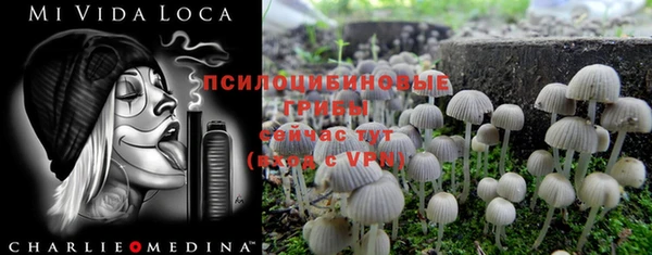 мдма Белокуриха